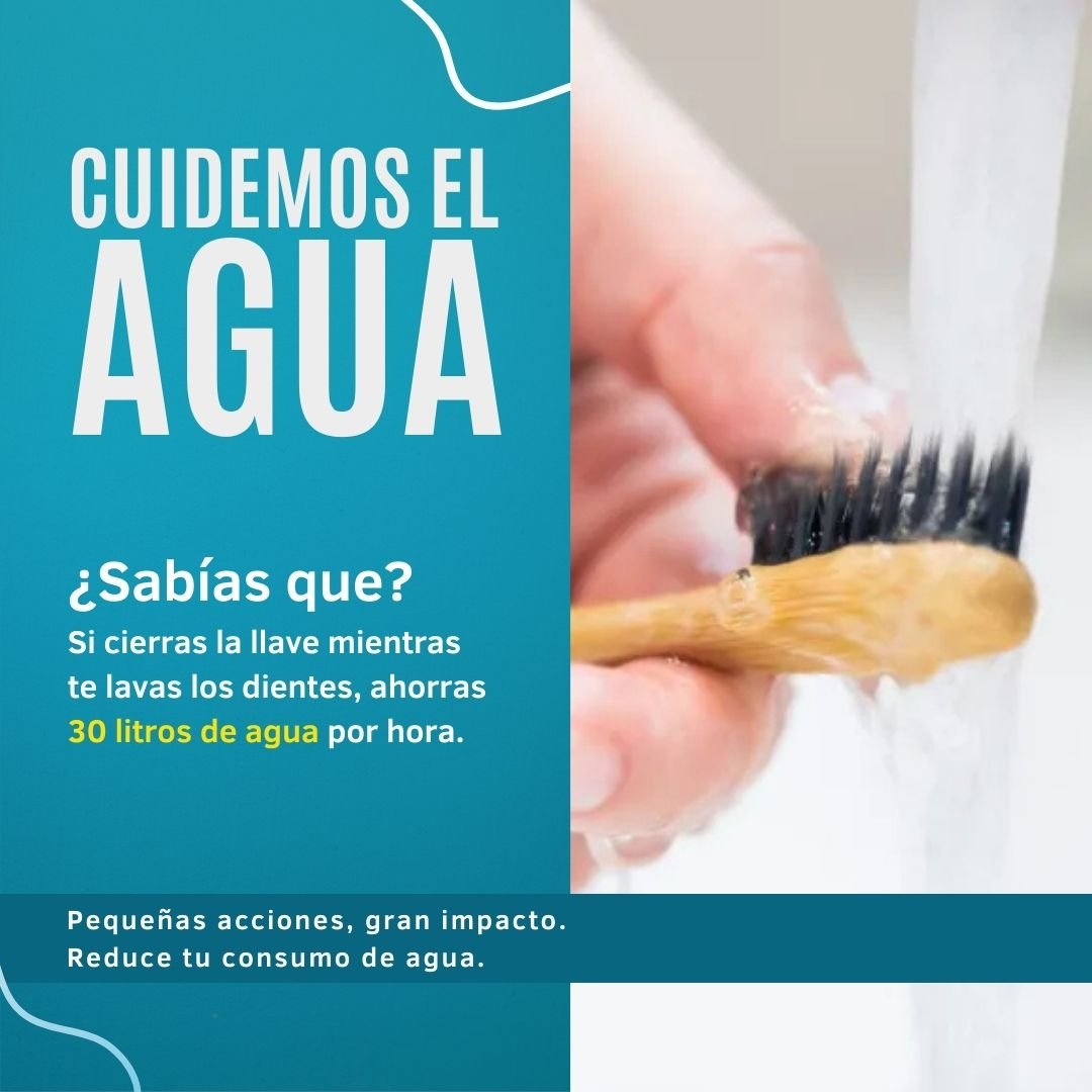 ca-15082025-redes